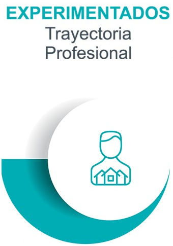 Trayectoria profesional